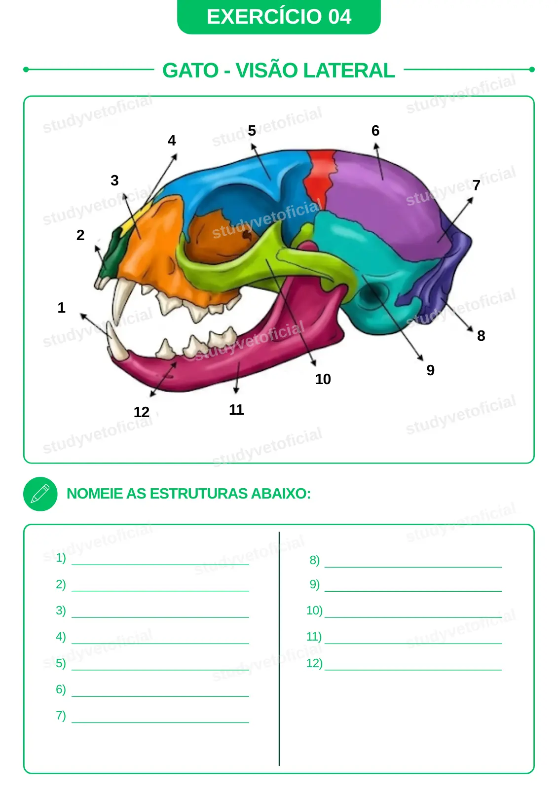 EXERCICIO-04-colorido.webp