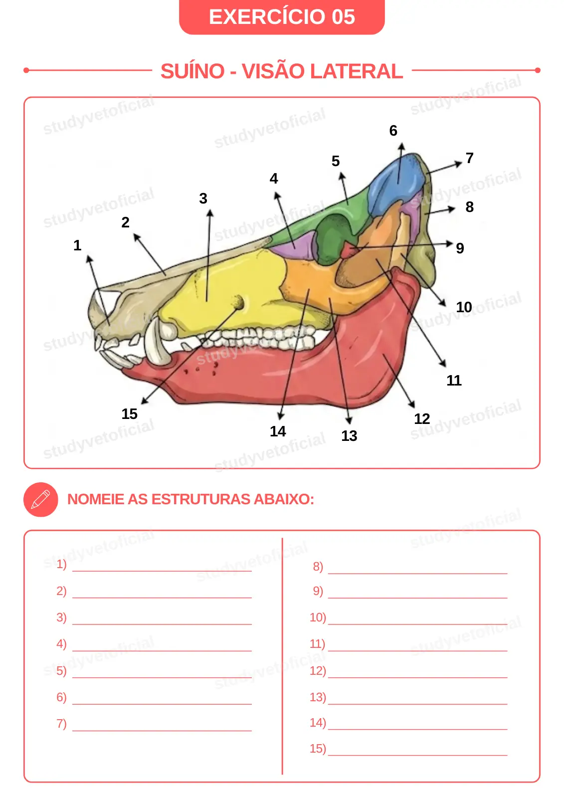 EXERCICIO-05-colorido.webp